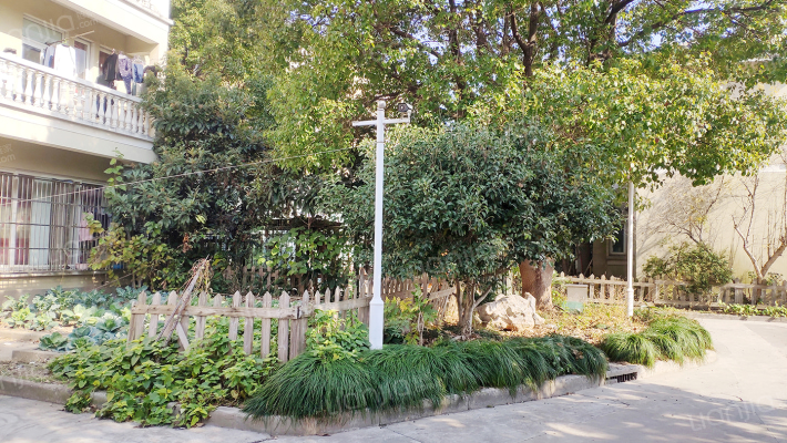 枫林雅苑外景图