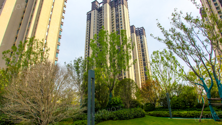 富田城九鼎华府七号院外景图