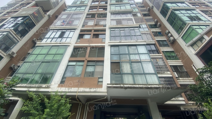 阳光巴洛克·棕榈林外景图