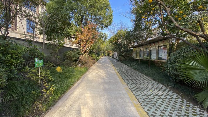 阳光城花满墅外景图