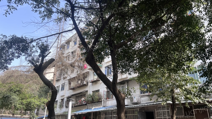 玉林西街后巷1号外景图