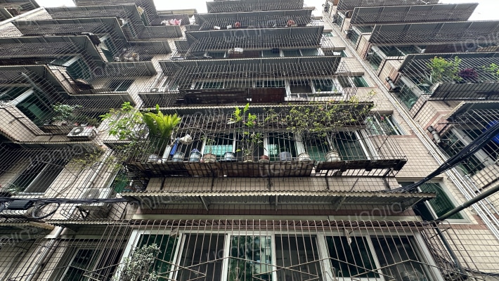 小天中街58号外景图