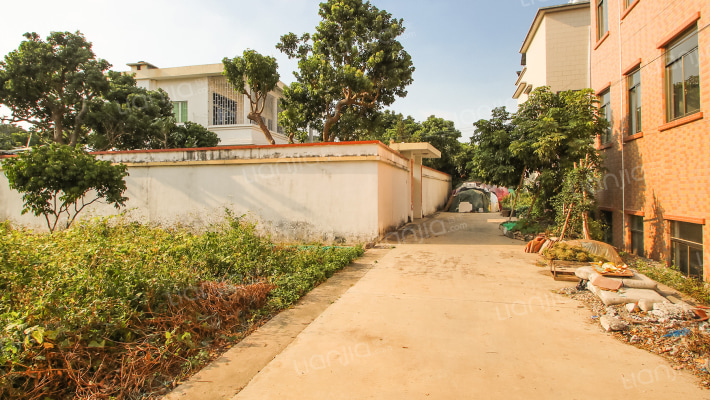 大同竹林街外景图