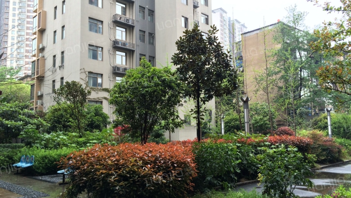 阳光年华外景图