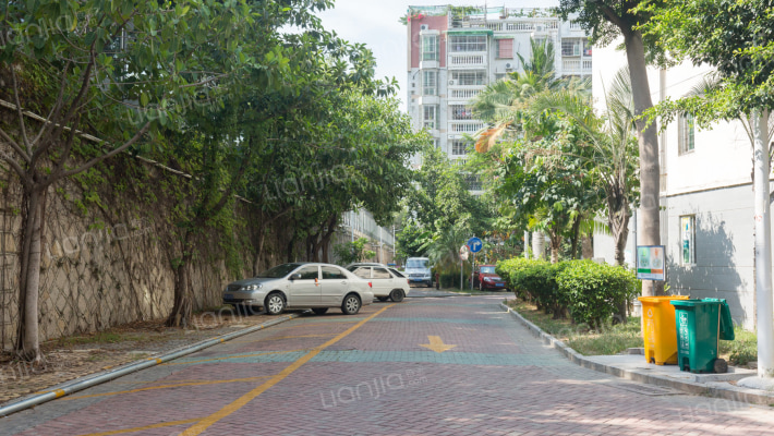 集美中心花园外景图