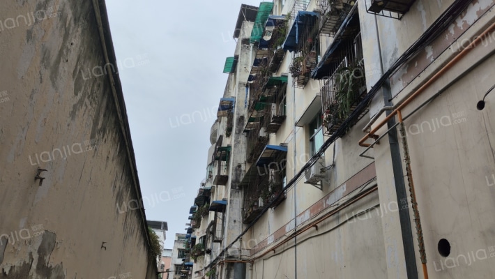 唐安东路77号外景图