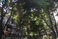水岸格林27