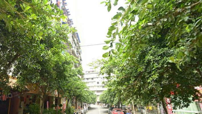 金沙路西巷31号外景图