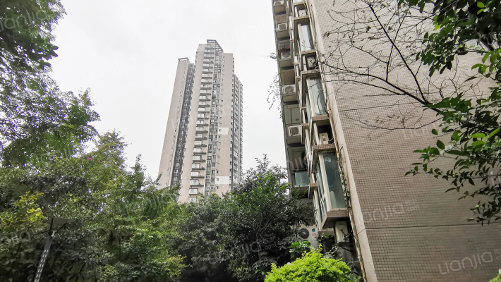 龙隐花园外景图