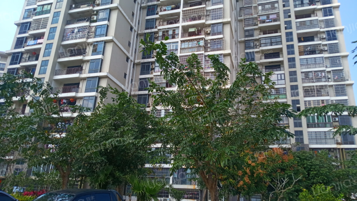 印象荷园外景图