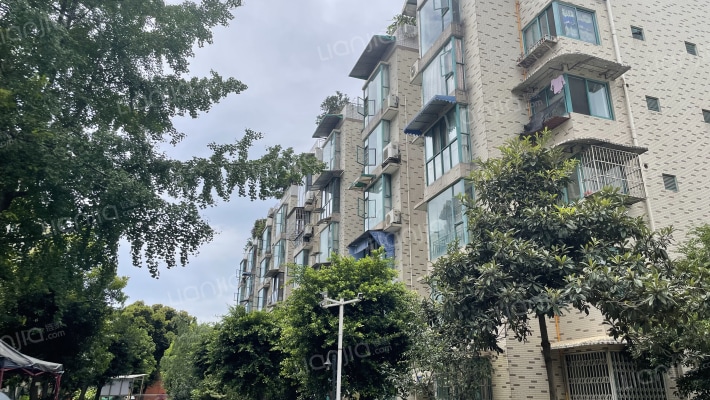 月楿丽苑外景图