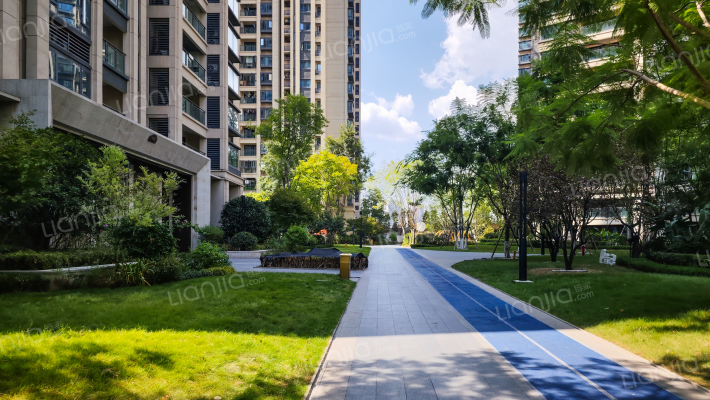 金科金辉美院D区外景图