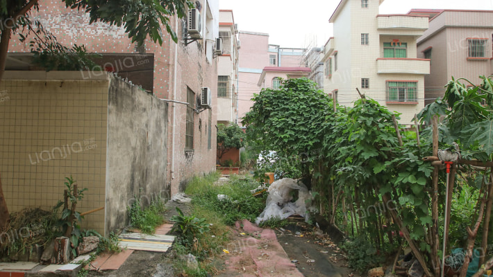 穗兴路四巷外景图