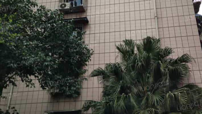 书院西街75号外景图