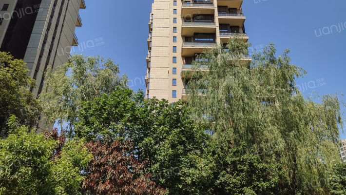 富力十号外景图