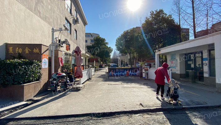 夏阳金城外景图