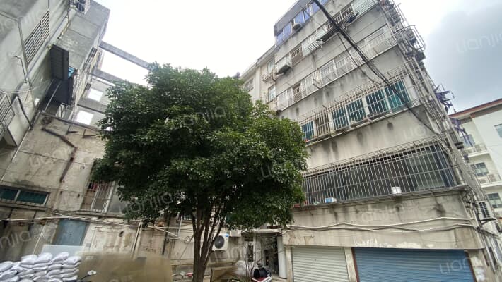 中山北路236号外景图