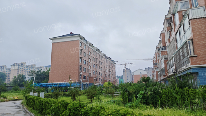 青云紫府三期外景图