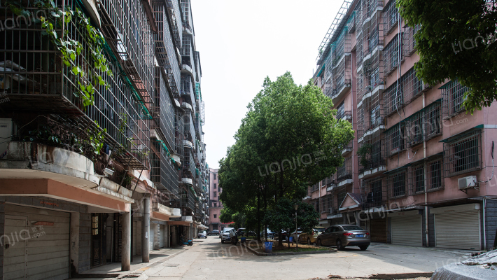 興湘花園外景图