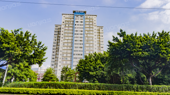 新滘东路外景图