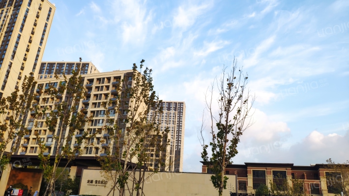 龙湖紫云台2.0外景图