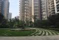 麓山国际半月湾10