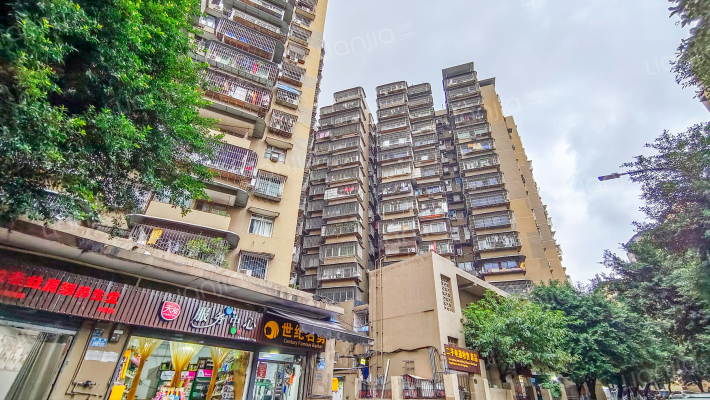 竹园小区(渝中)外景图