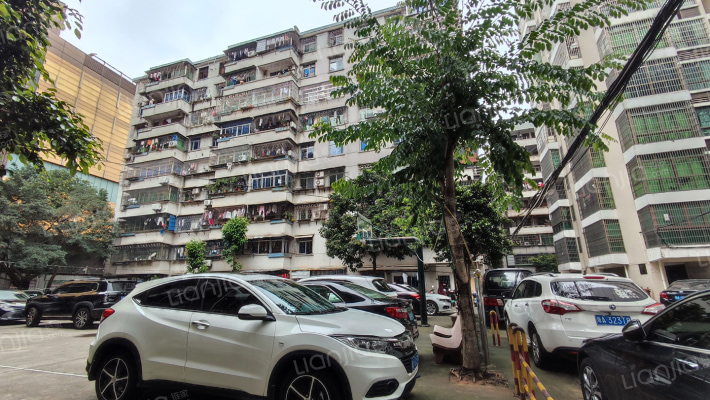 海南省二建大院宿舍区外景图