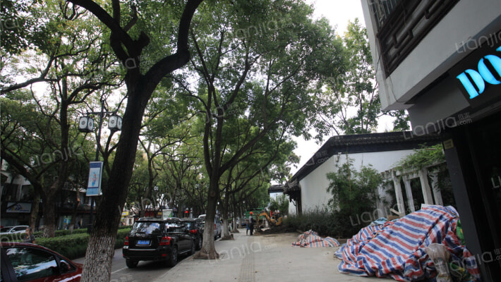 中街路散盘外景图