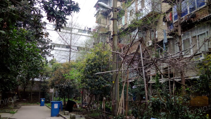 丹西社区外景图