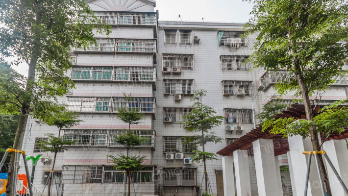 新围花园外景图