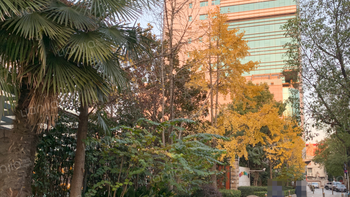 延安中路658号外景图