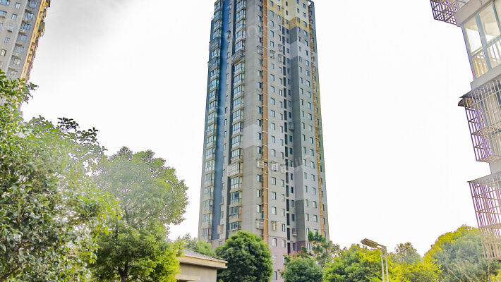 新城花园三区外景图