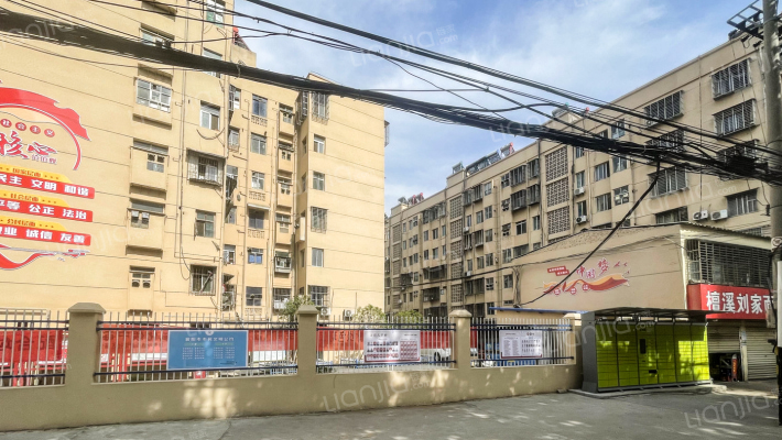 灯泡厂家属院外景图