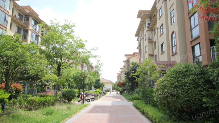 丰球和园外景图