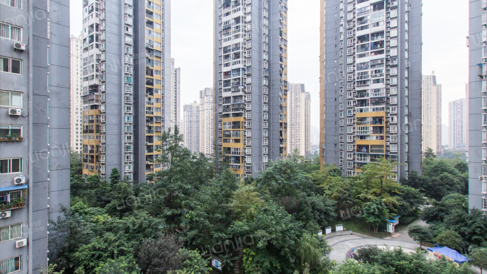 云湖绿岛外景图