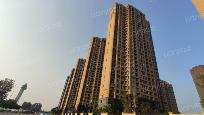 洪河富贵外景图