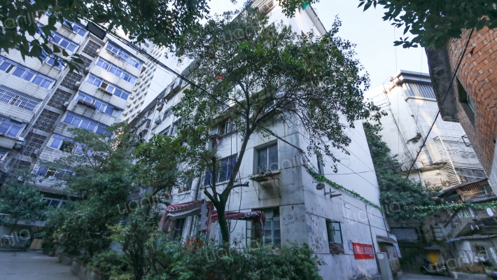 二医院宿舍（八一大道90号）外景图