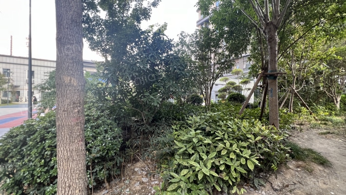 金兰西景苑外景图