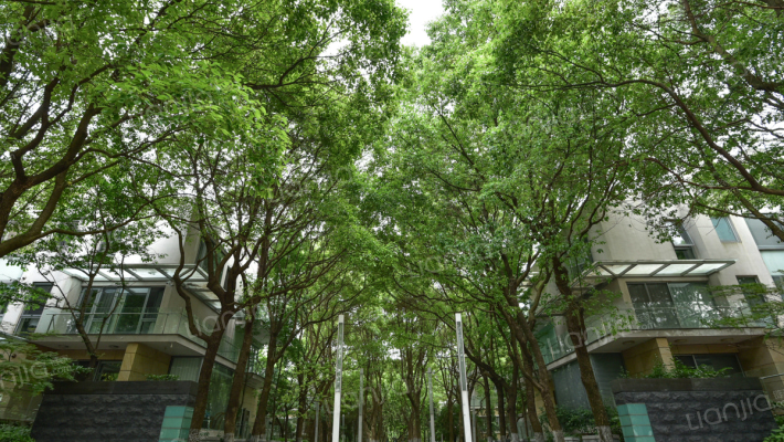 皇都花园(别墅)外景图