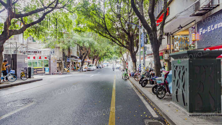 温泉树汤花园外景图
