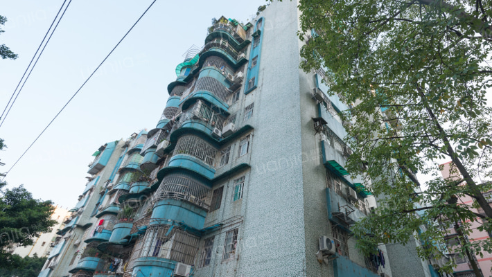 桥东小区外景图