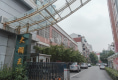 大湖王朝5