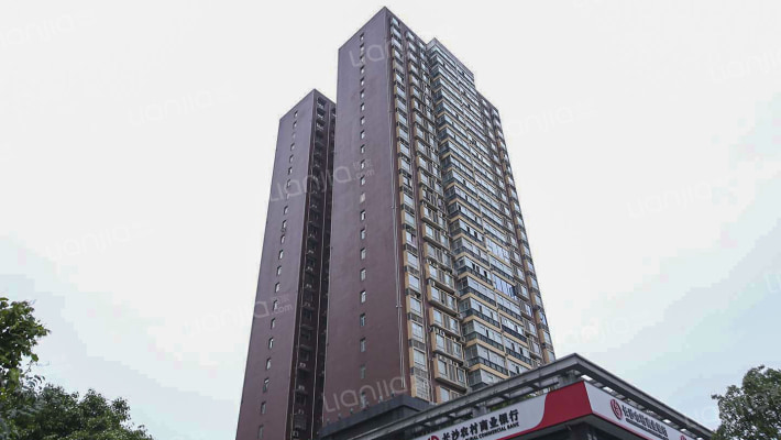 至雅大厦外景图