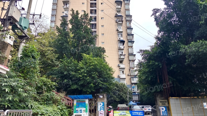 双碑莲光小学集资楼外景图