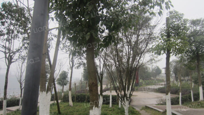 北星小区外景图