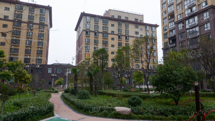 鼎鑫鑫悦广场外景图