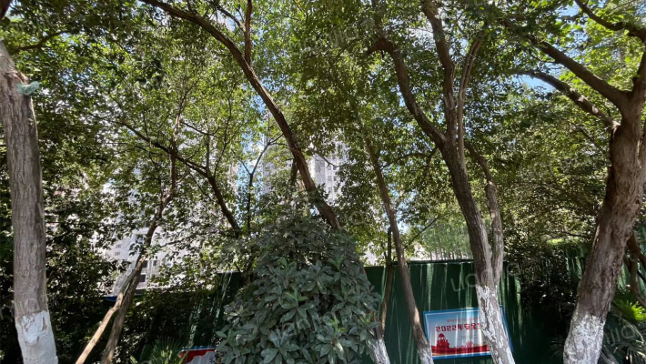 潭东景苑外景图