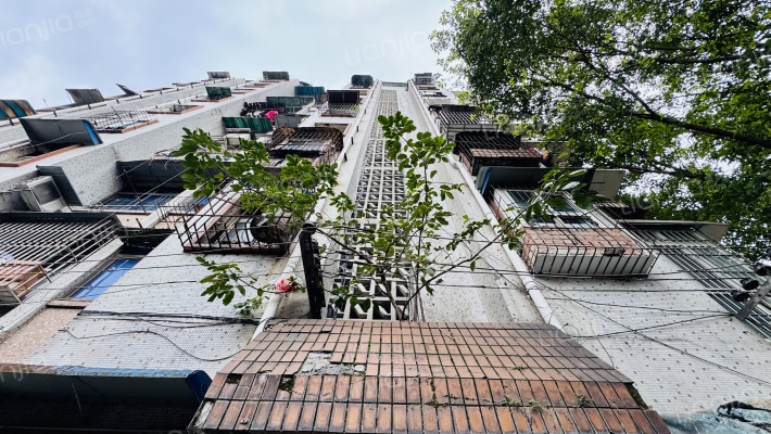 石坪桥横街2号附2号外景图