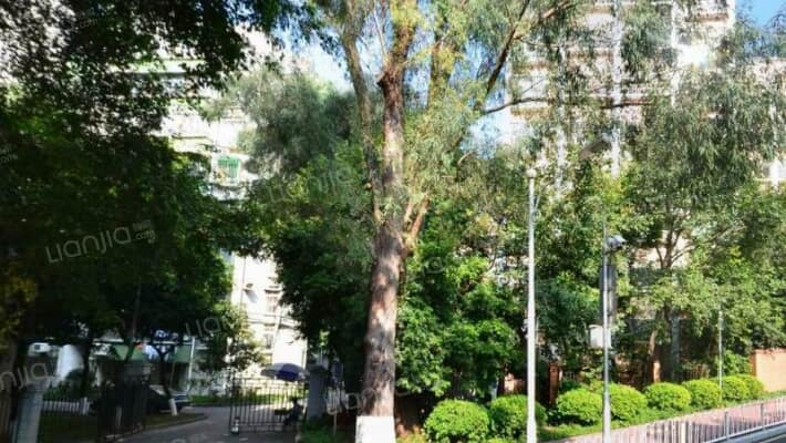 华南理工大学宿舍西秀村外景图